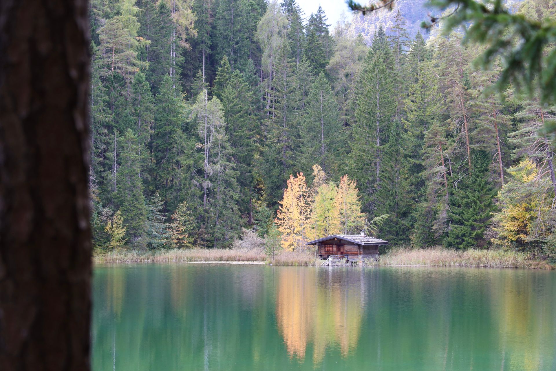 Ein kleines Haus steht am Ufer eines Sees mitten in einem Wald.
