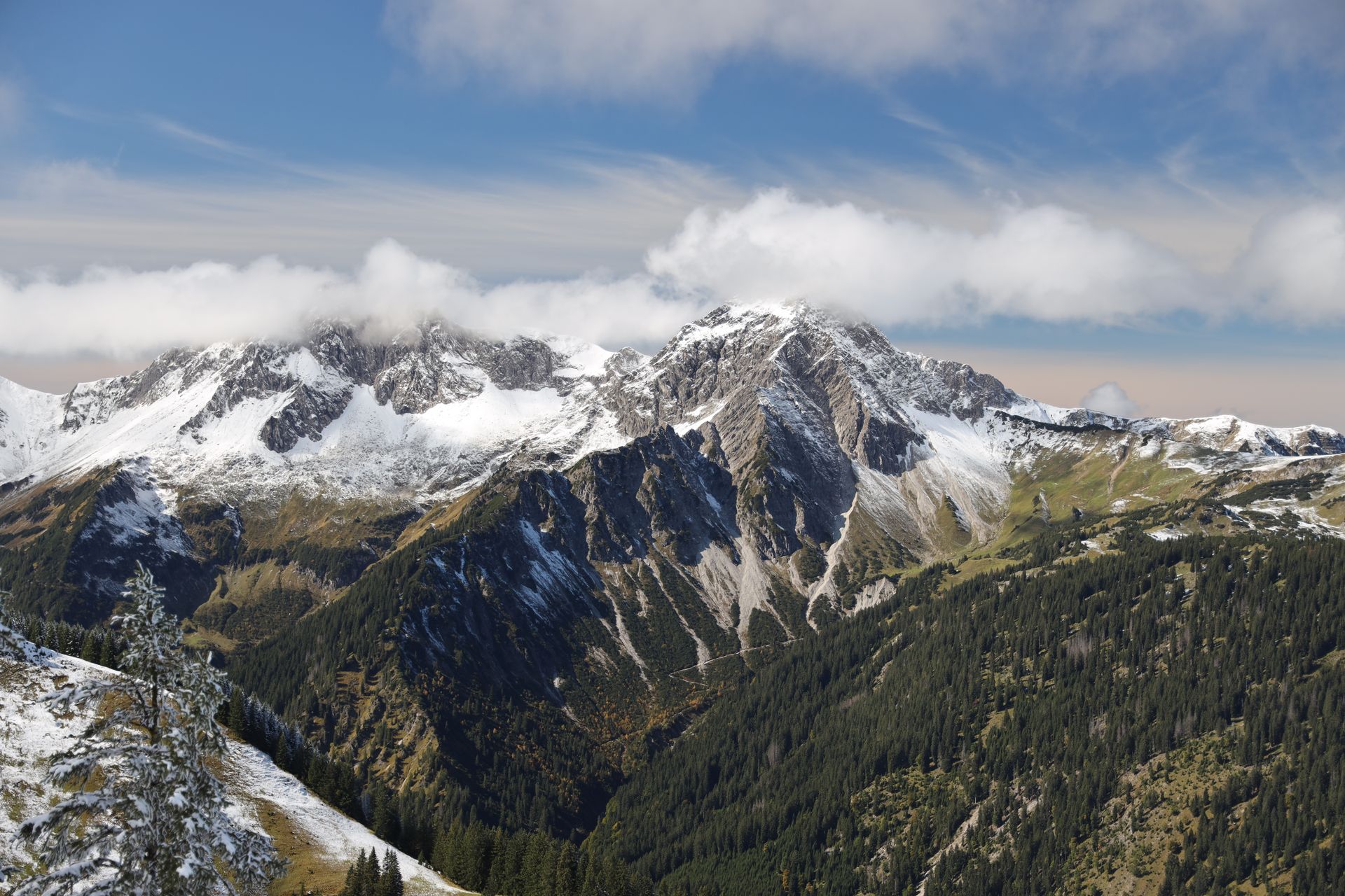 Schneebedeckte Bergkette unter blauem Himmel mit vereinzelten Wolken. Grüner Wald im Vordergrund.