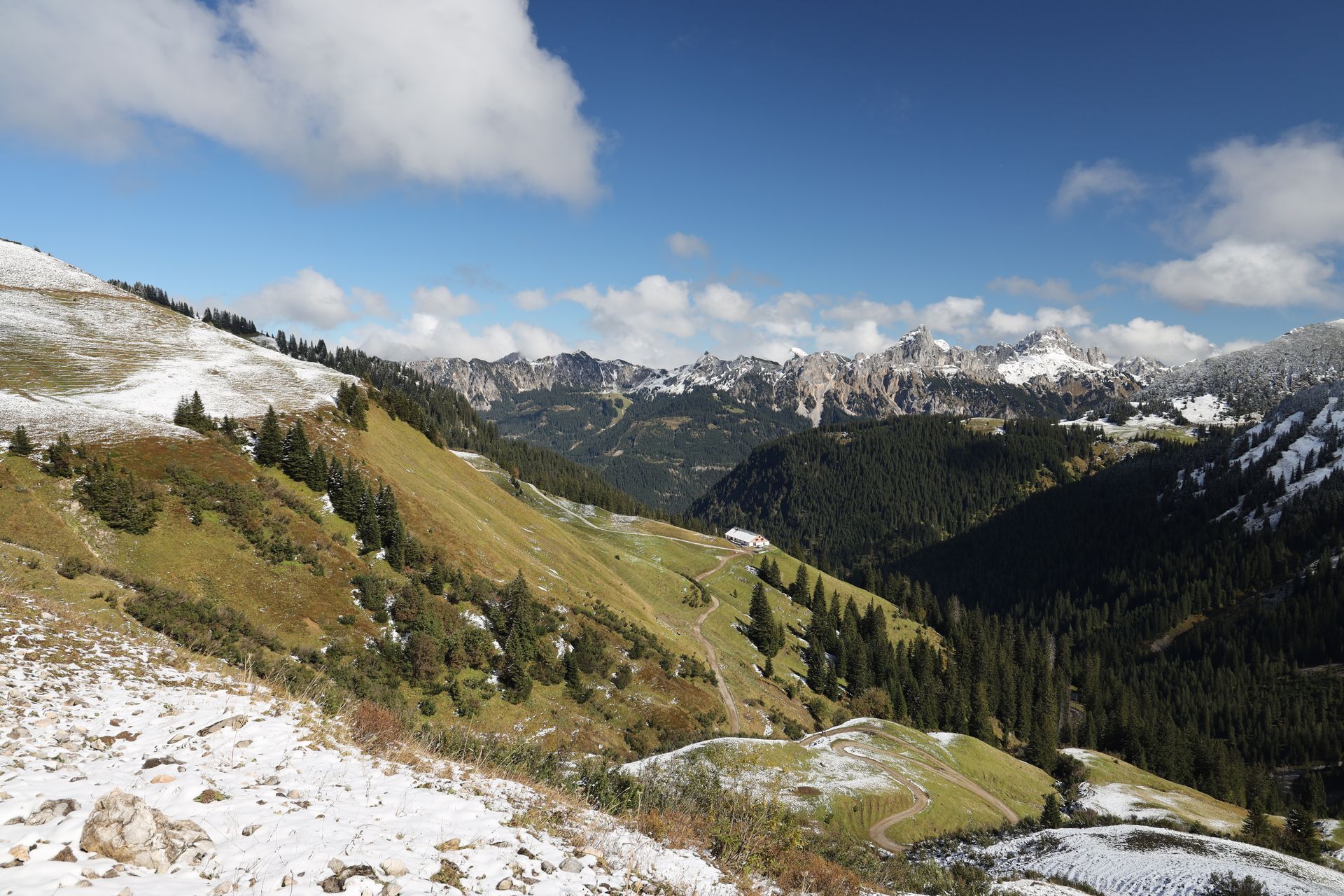 Eine verschneite Berglandschaft mit Bäumen und Gras