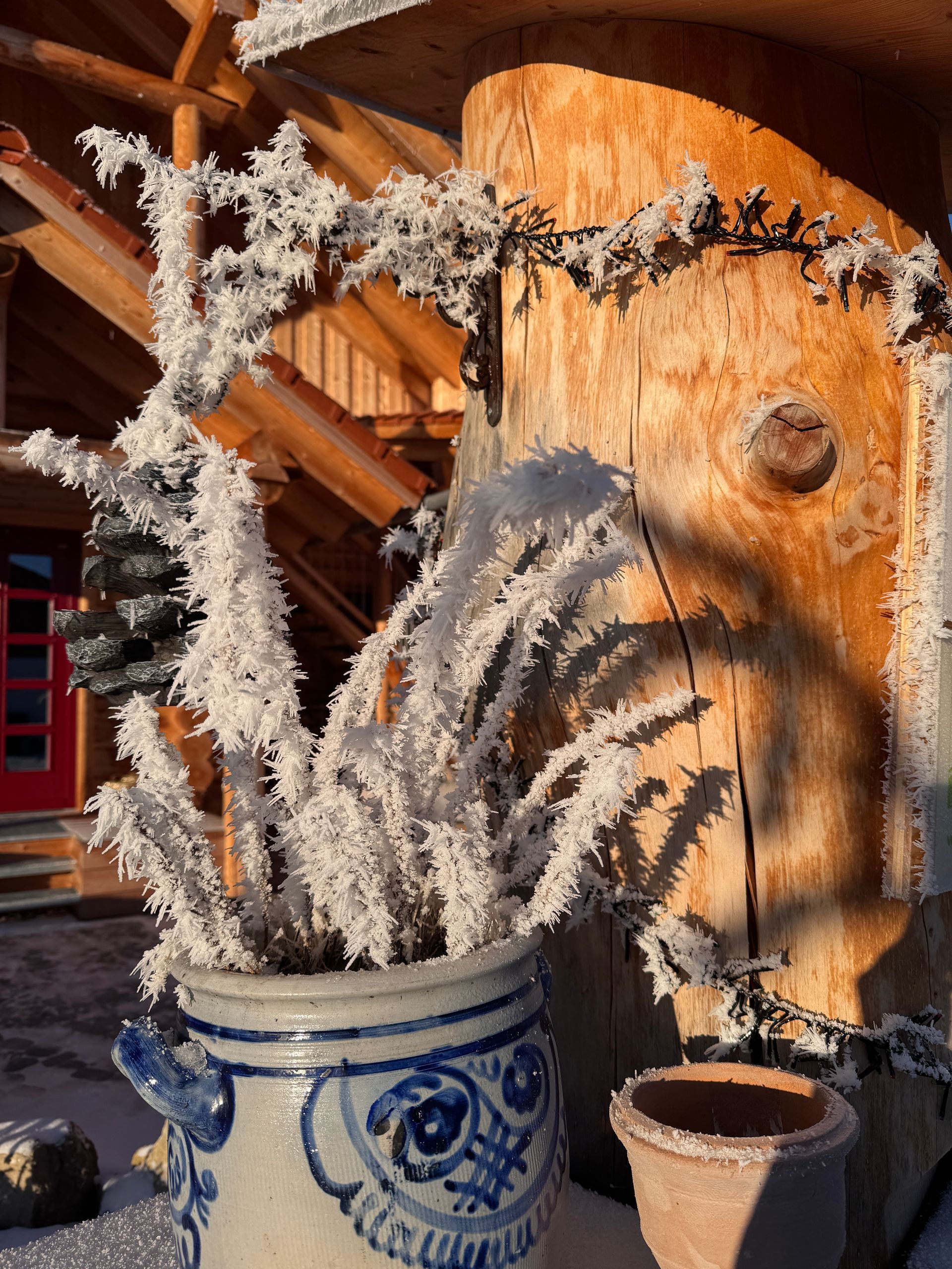 Mit Frost bedeckte Pflanzen in einem blau-weißen Topf neben einem Holzpfosten, im Hintergrund ist eine Blockhütte zu sehen.