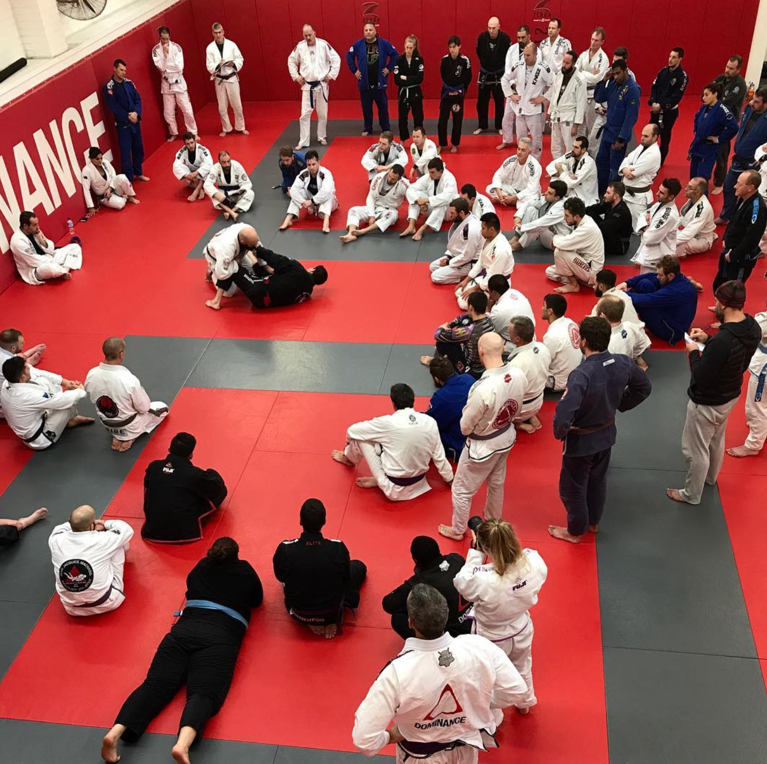 Adults practicing martial arts techniques at Jean Jacques Machado Fresno academy building strength.