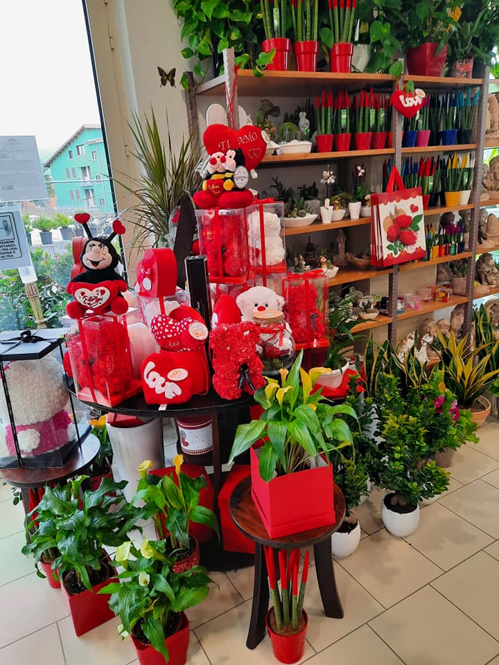 vendita di piante ornamentali