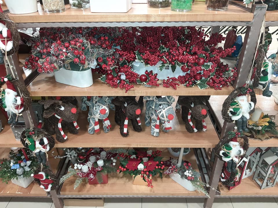 piante in vendita presso la fioreria