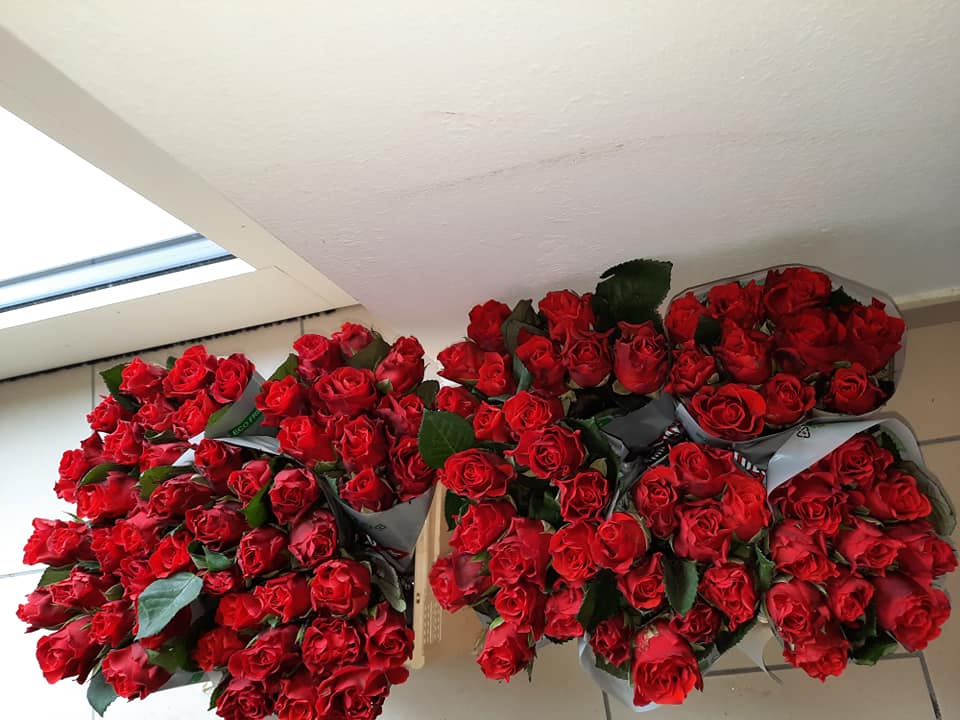 mazzi di rose rosse