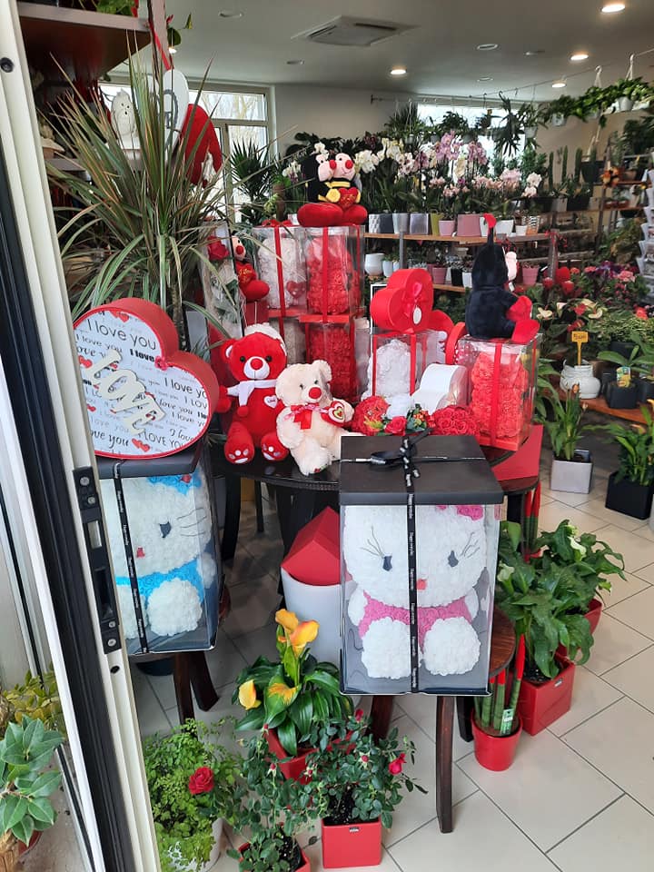 negozio di piante, fiori e accessori per il giardinaggio