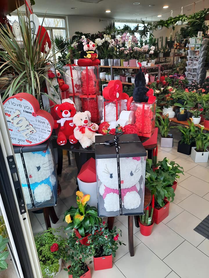 negozio di piante, fiori e accessori per la cura del verde