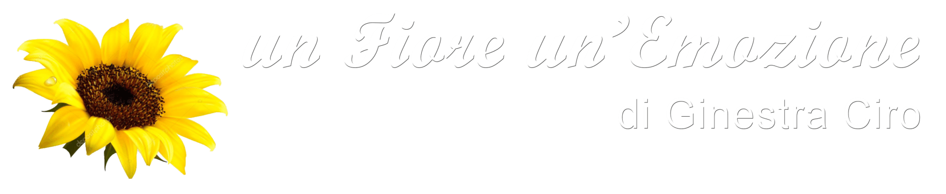 UN FIORE UN'EMOZIONE GINESTRA CIRO - LOGO