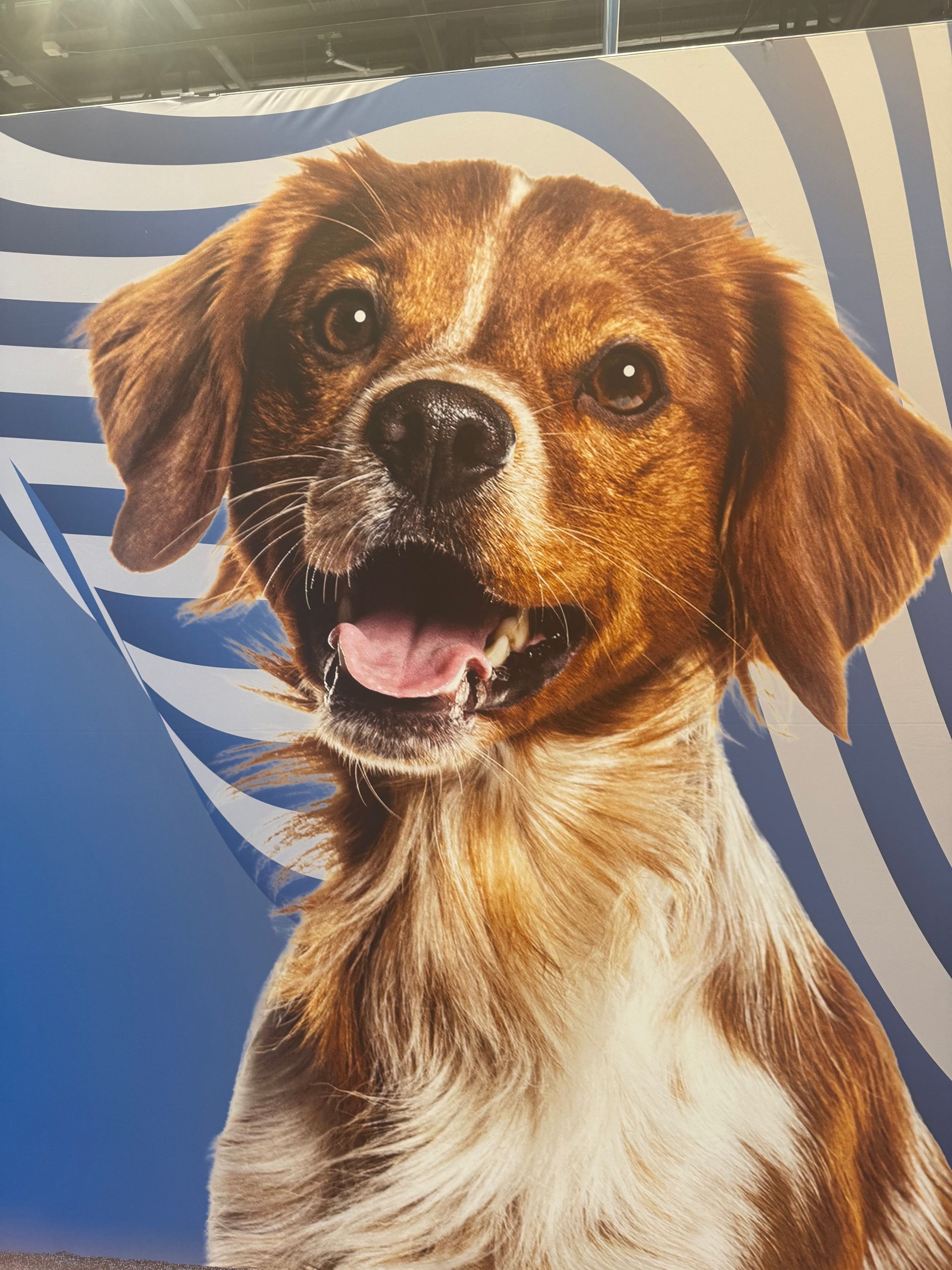 Four people stand side-by-side indoors, smiling toward the camera. They wear casual clothing including green jackets.