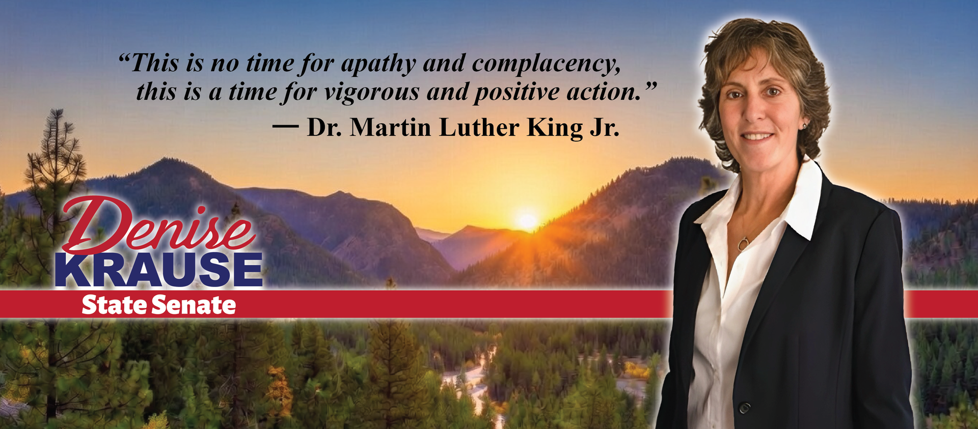 Denise Krause, State Senate candidate, smiling, wearing a blazer, with mountains and sunset background.