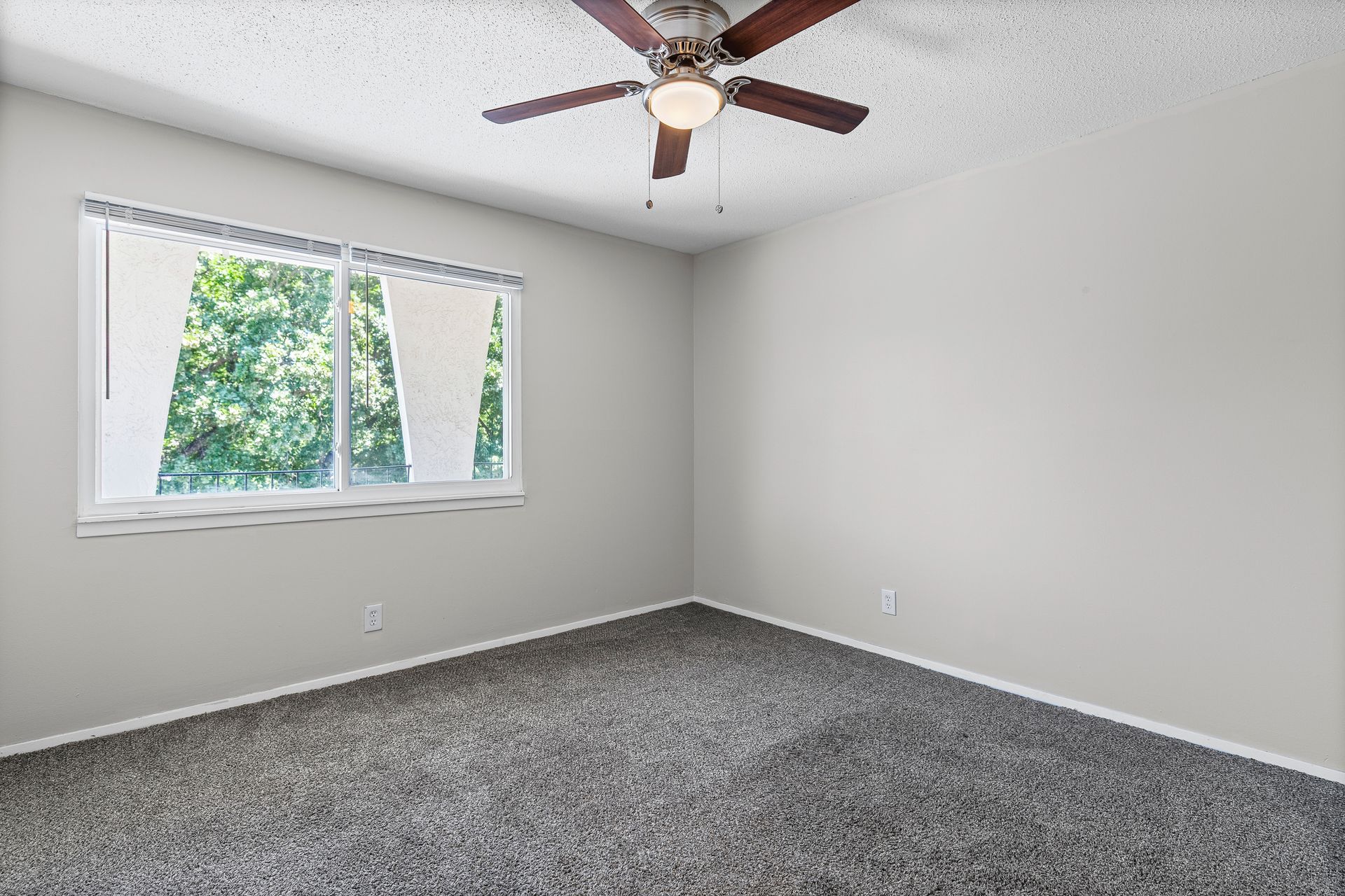 Empty bedroom with gray walls and carpet, a ceiling fan, and a window overlooking trees.