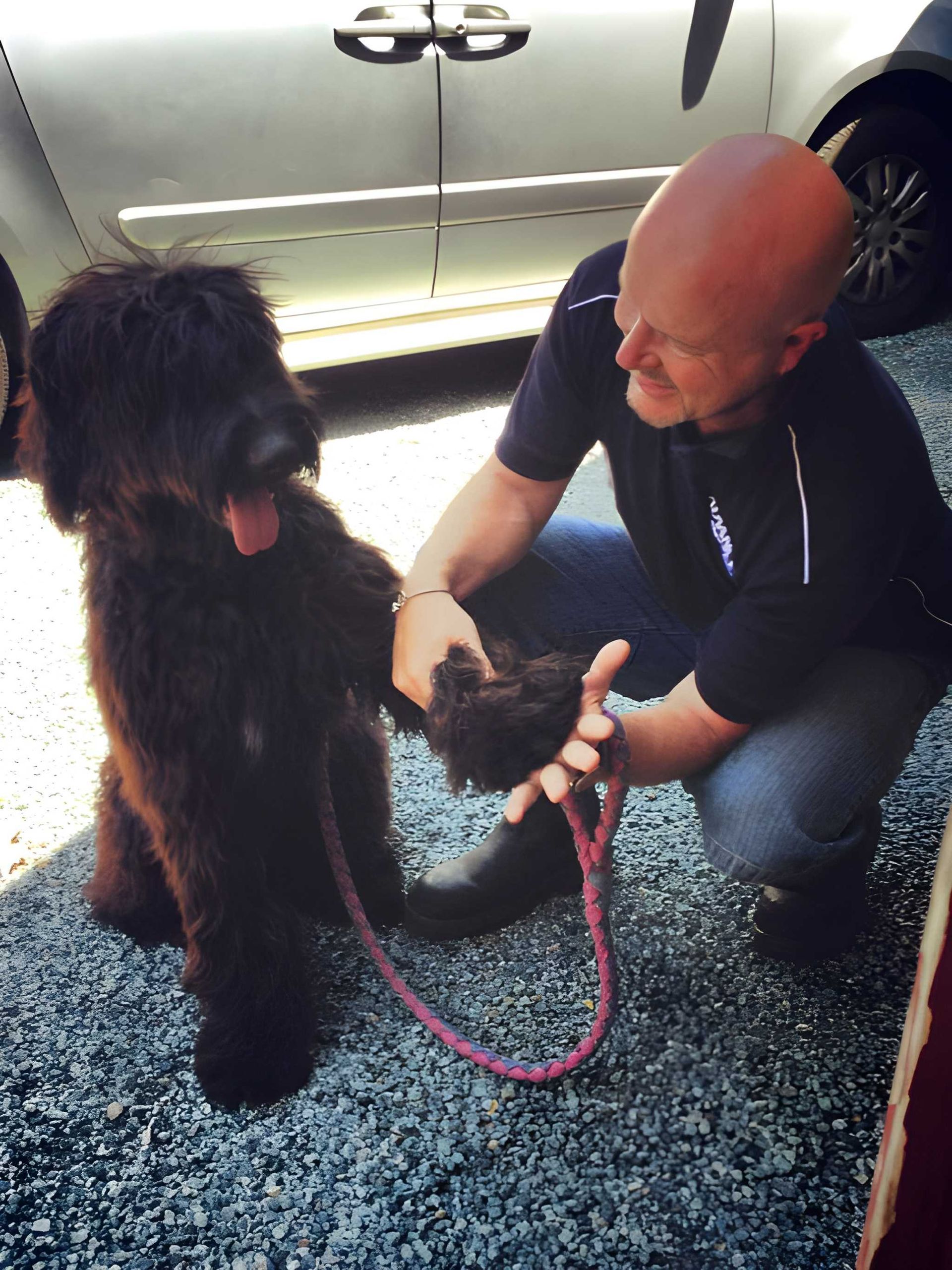 Man Kneeling, Holding Leash Attached to a Black, Fluffy Dog — Auramist Lodge Dog Boarding & Cattery In Salt Ash, NSW 