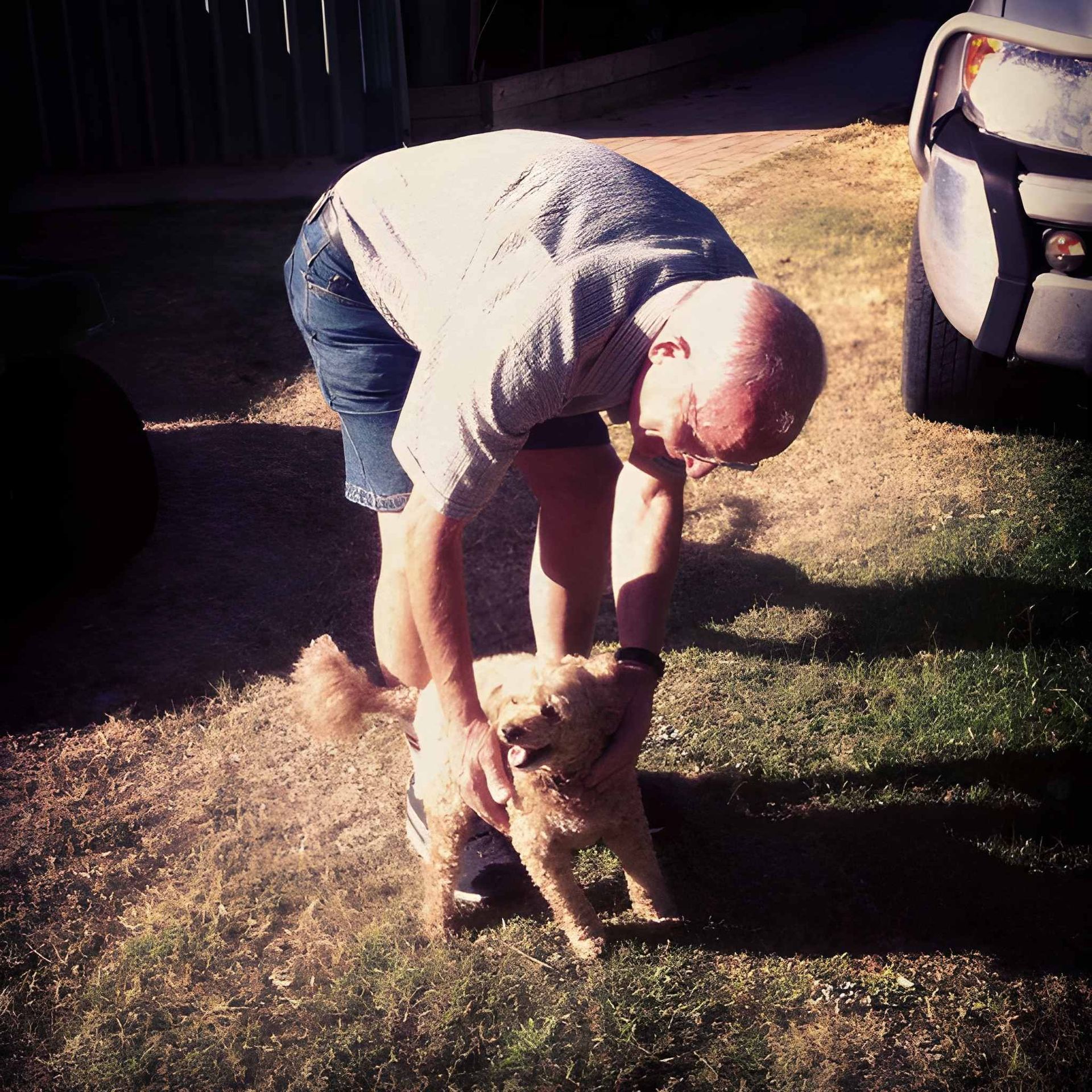 Man Petting a Small, Tan Dog Outdoors in a Grassy Area — Auramist Lodge Dog Boarding & Cattery In Salt Ash, NSW 