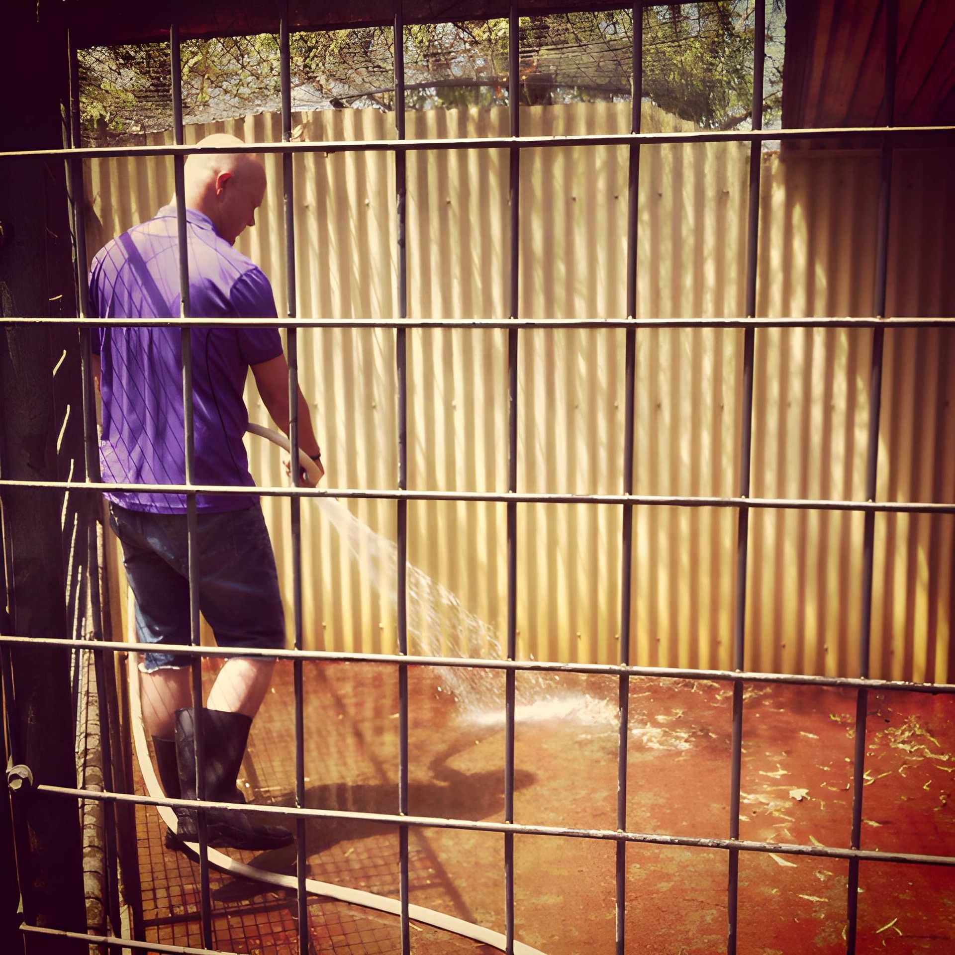 Man Spraying Water in an Enclosure — Auramist Lodge Dog Boarding & Cattery In Salt Ash, NSW