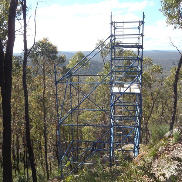 A blue scaffolding tower in the middle of a forest