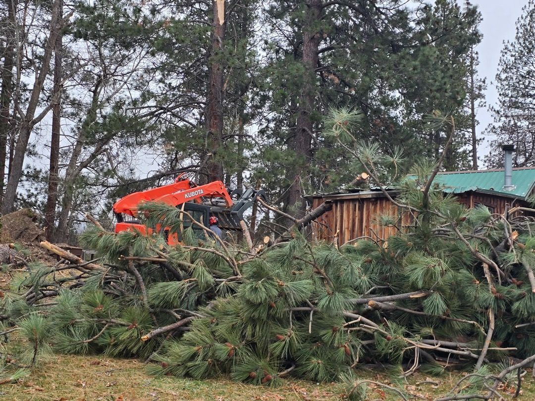Orange tree removal machine clearing fallen branches near a wooden cabin. Green foliage.