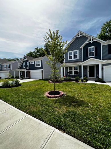 Row of new houses with blue siding, white trim, and attached garages, with a grassy lawn and a tree.