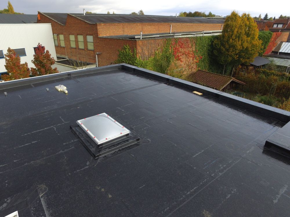 Black flat roof with skylight and building in background.