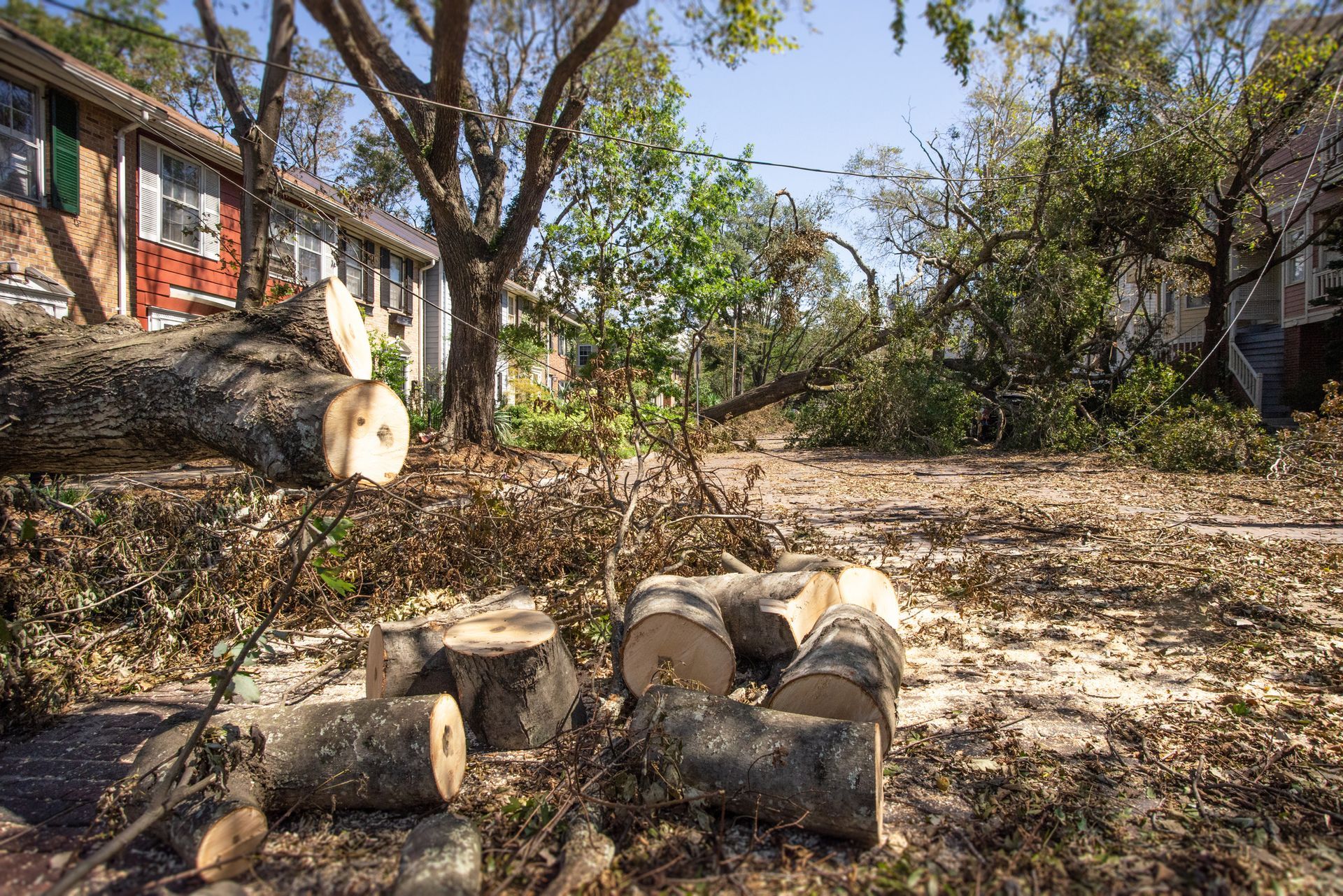 A pile of logs laying on the ground in front of a house.