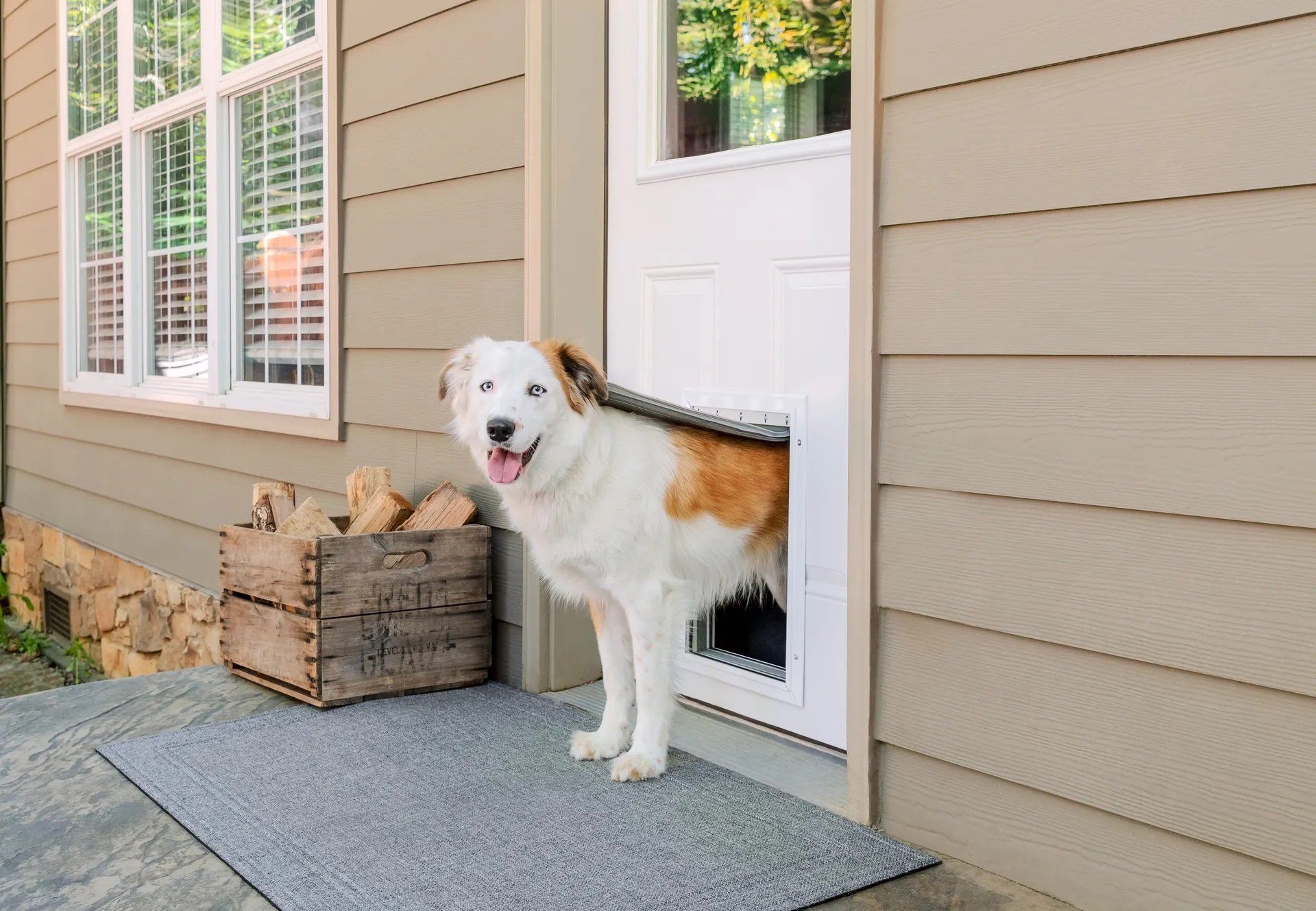 Pet Door Installation | Boise, ID | A1 Handyman