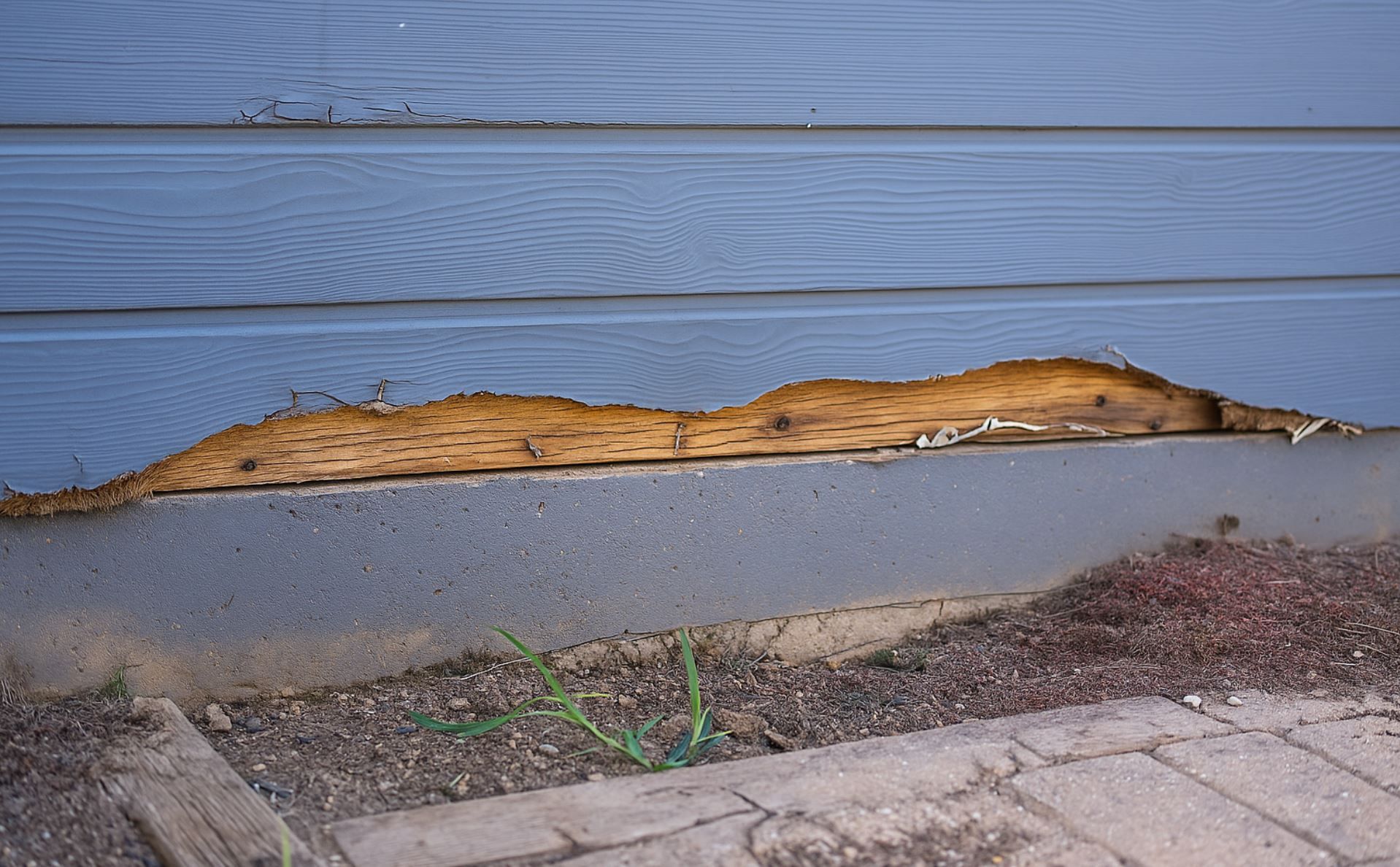 Severely rotted siding along the base of a Boise, ID  home, exposing damaged wood beneath in need of repair by A1 Handyman.