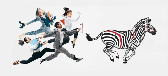 A group of people are running away from a zebra.