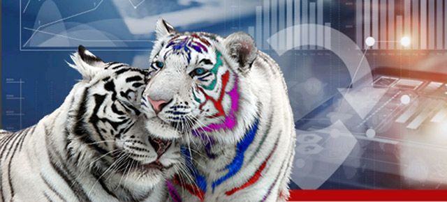 Two white tigers are standing next to each other in front of a graph.