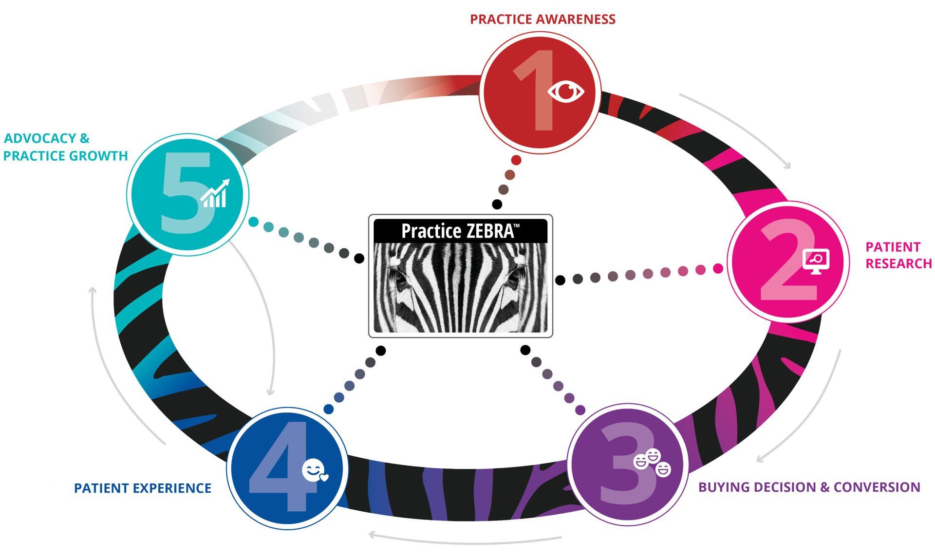 A diagram of a circle with numbers and a zebra on it