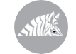 A zebra is sitting in a circle on a white background.