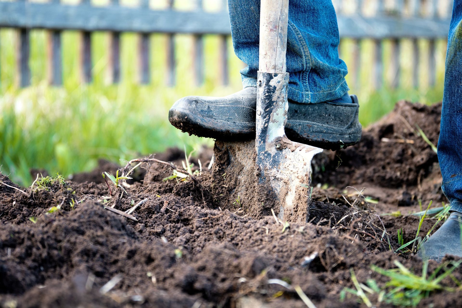 Garden tools on green lawn: shovel, rake, hoe, and trowel crossed in front of a house.