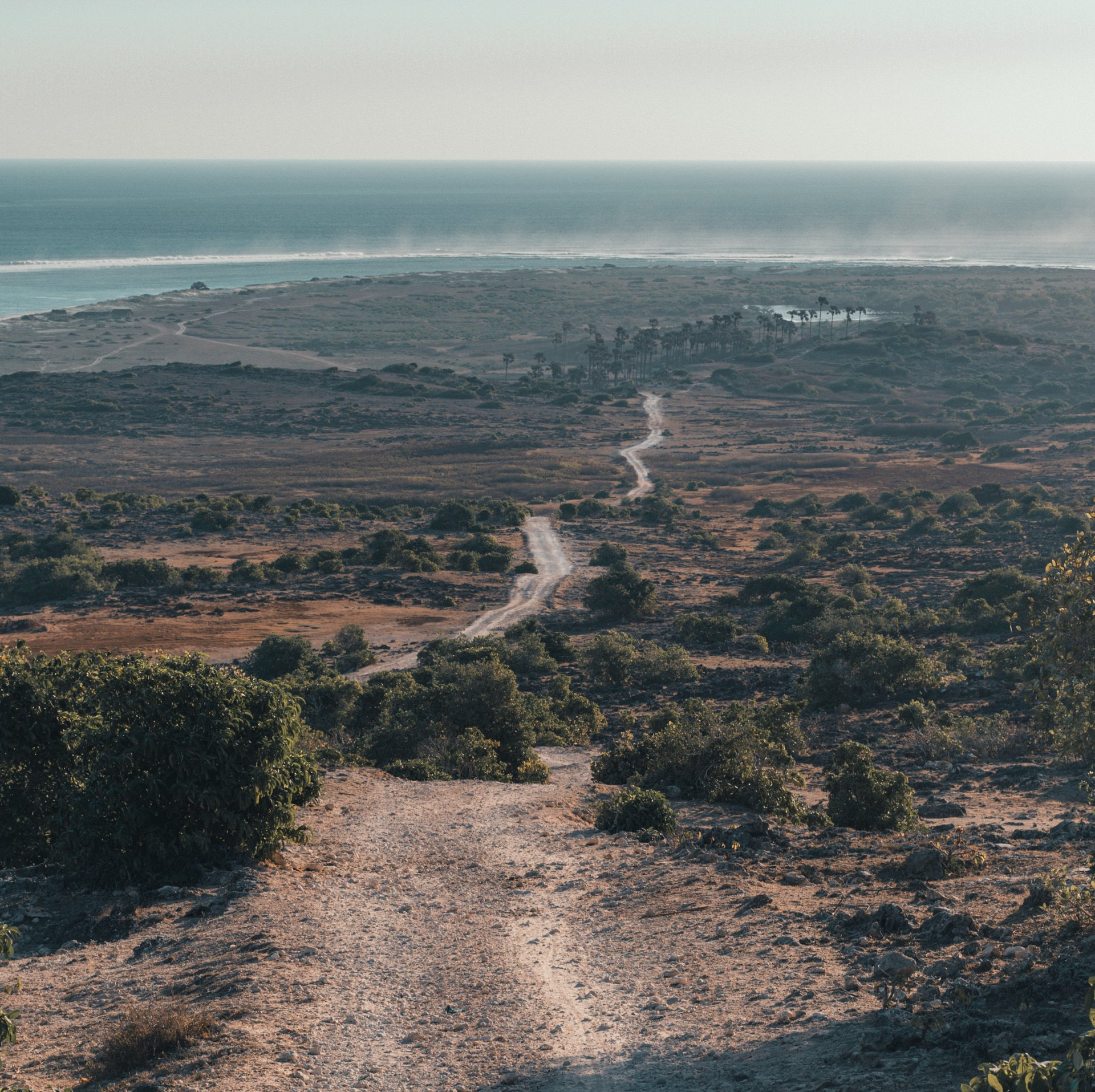 A dirt road going through a desert landscape. The Oregon Trail. 