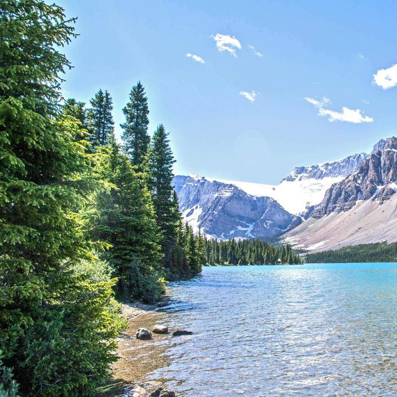 A lake with mountains in the background and trees on the shore