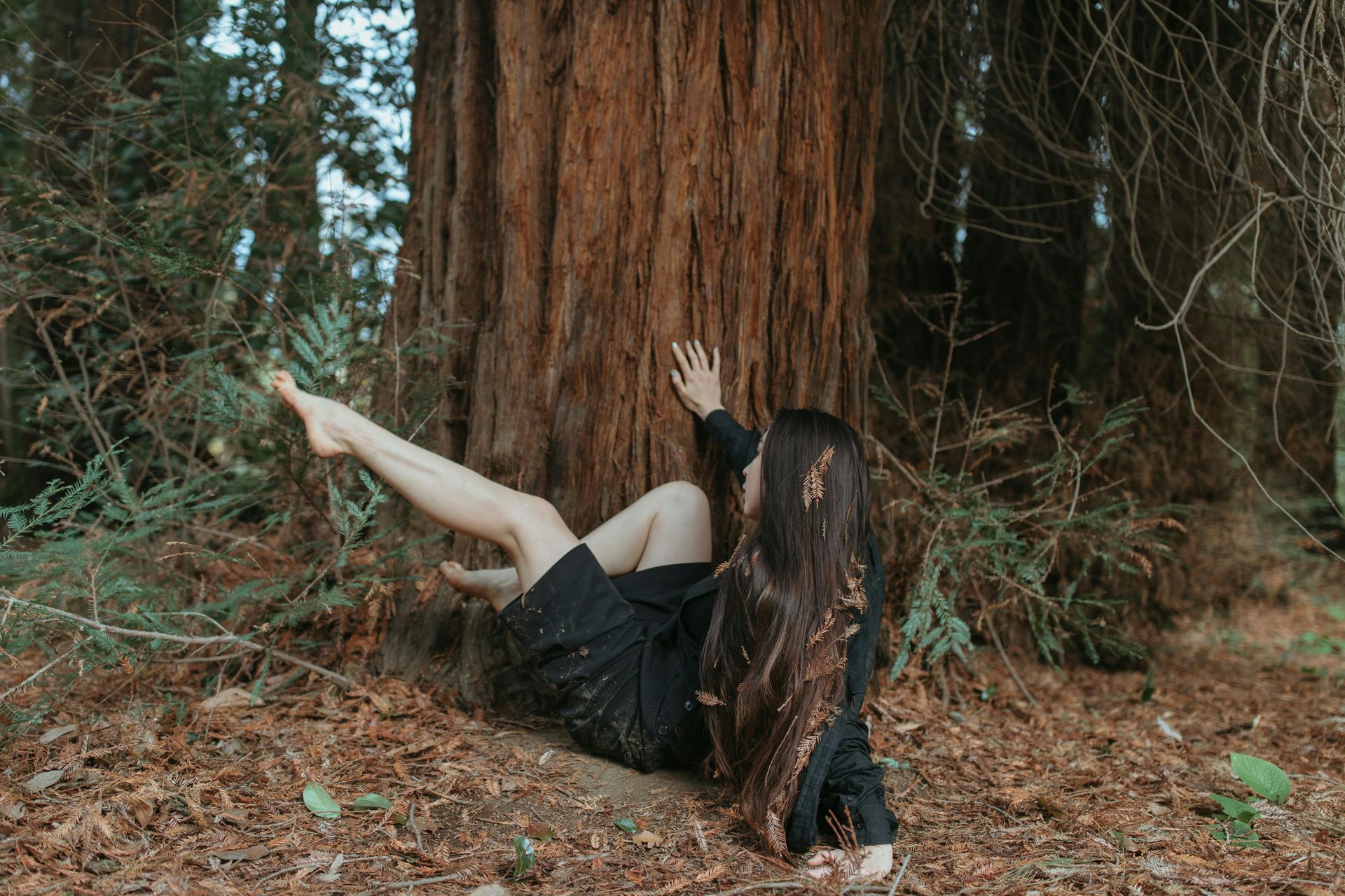 A woman who has fallen near a tree in a forest, showing a slip and fall incident that might require legal consultation from slip and fall attorneys.
