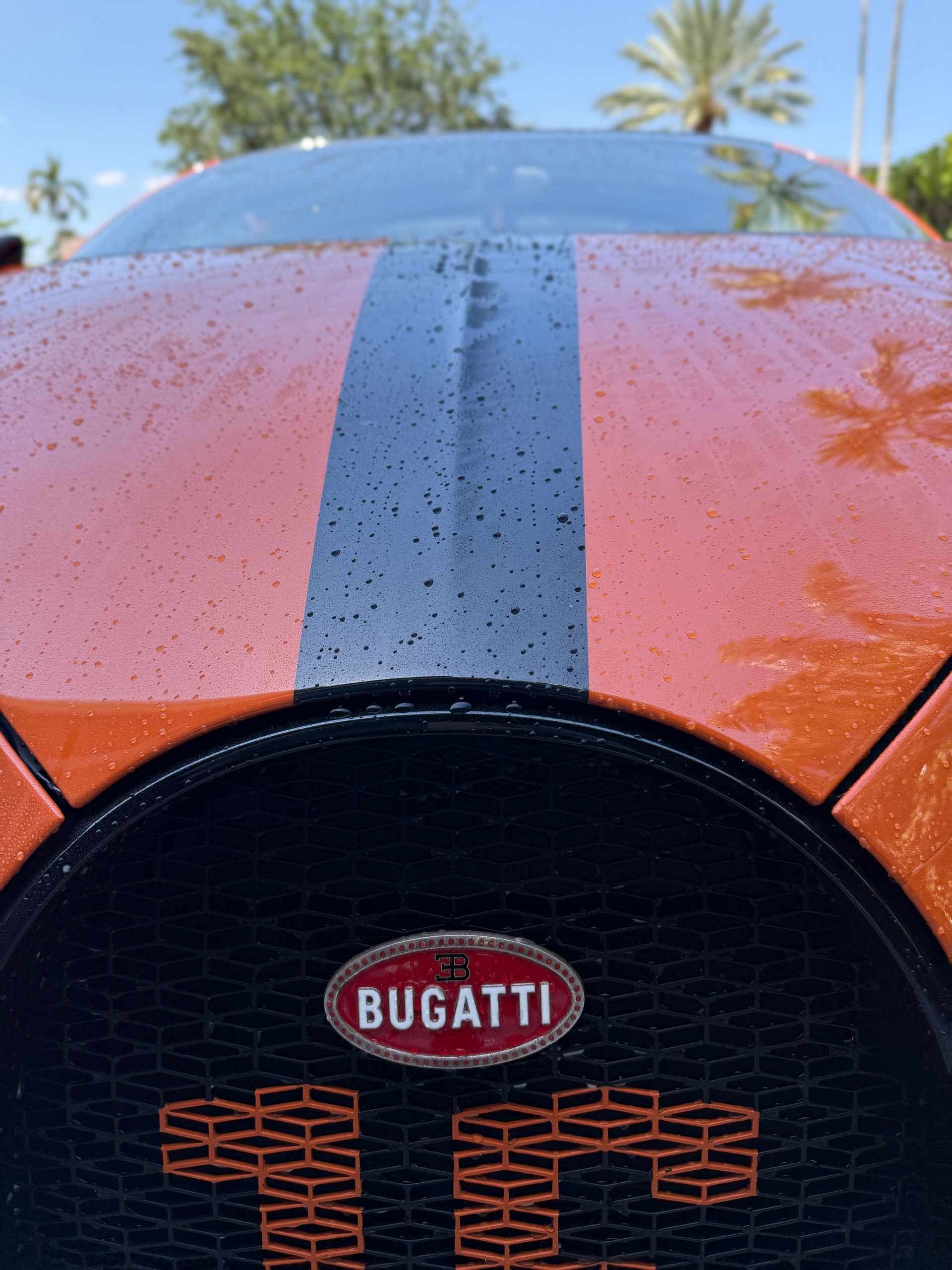 Close-up of blue water droplets on a reflective surface.