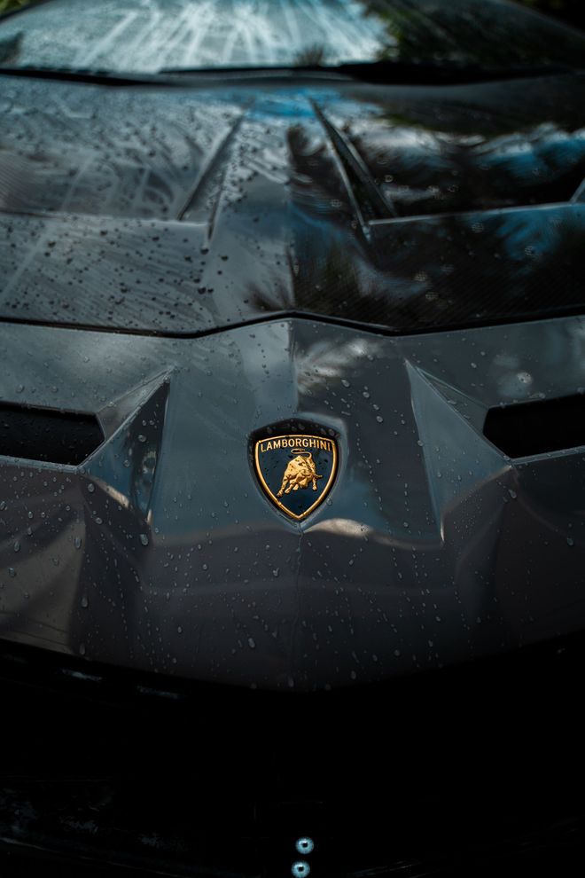 Close-up of a black Lamborghini car hood with the gold Lamborghini emblem visible; covered in water droplets.