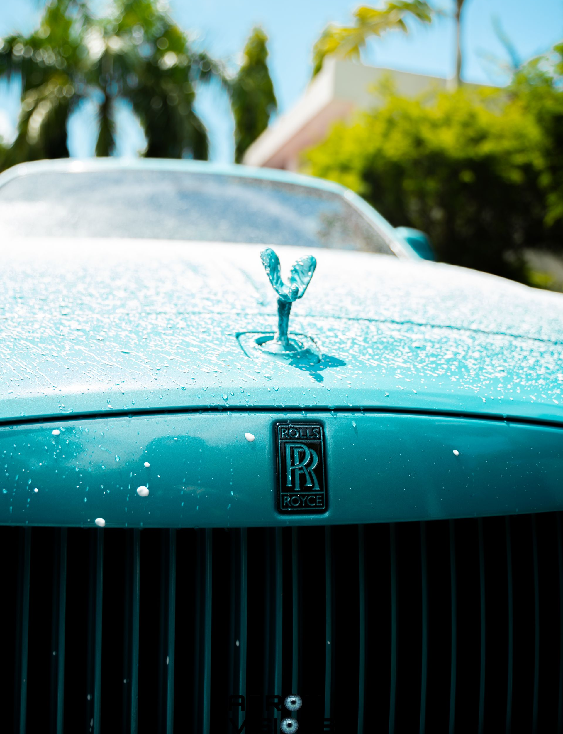 Teal Rolls-Royce hood with Spirit of Ecstasy emblem, covered in suds, front view.