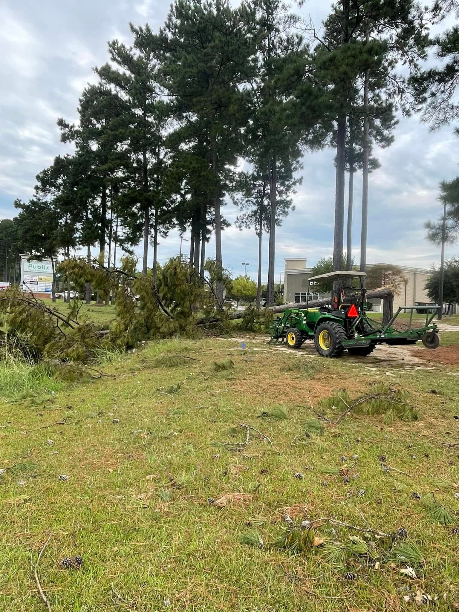 Green tractor mowing overgrown grass near trees and a building.