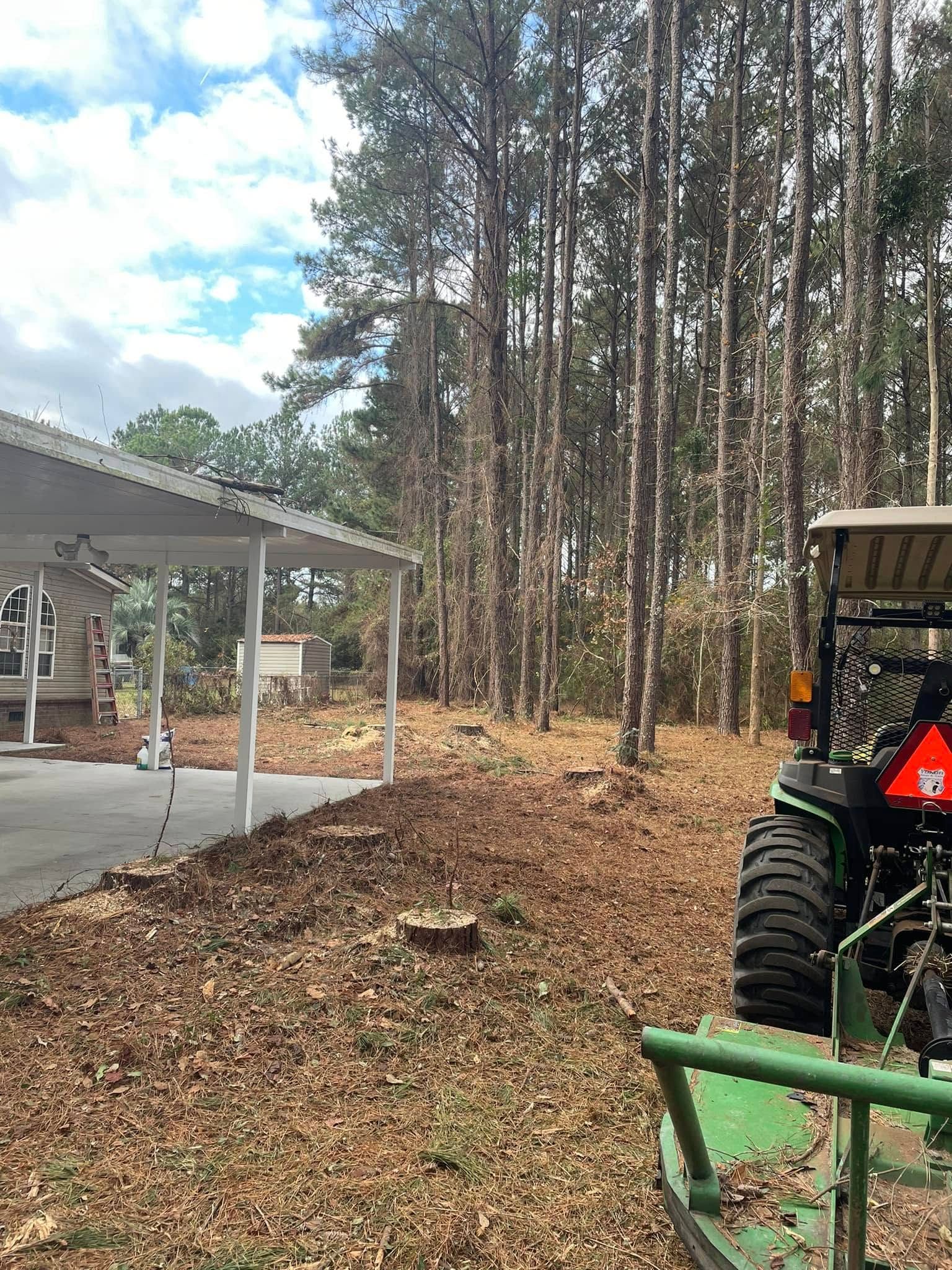 A tractor clearing leaves near a carport and a line of tall pine trees on a sunny day.