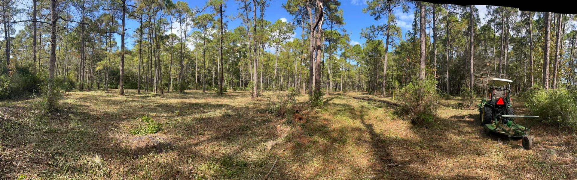 A forest clearing with tall trees and an ATV in the distance. Sunny day, blue sky.