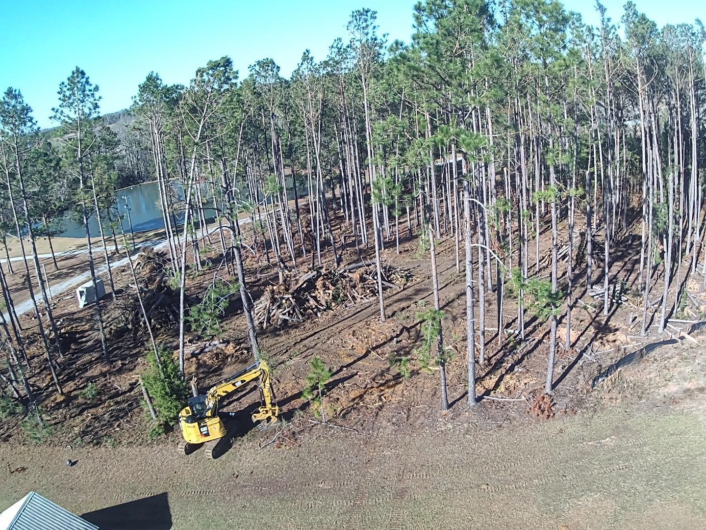 Excavator clearing trees from a hillside near a body of water.