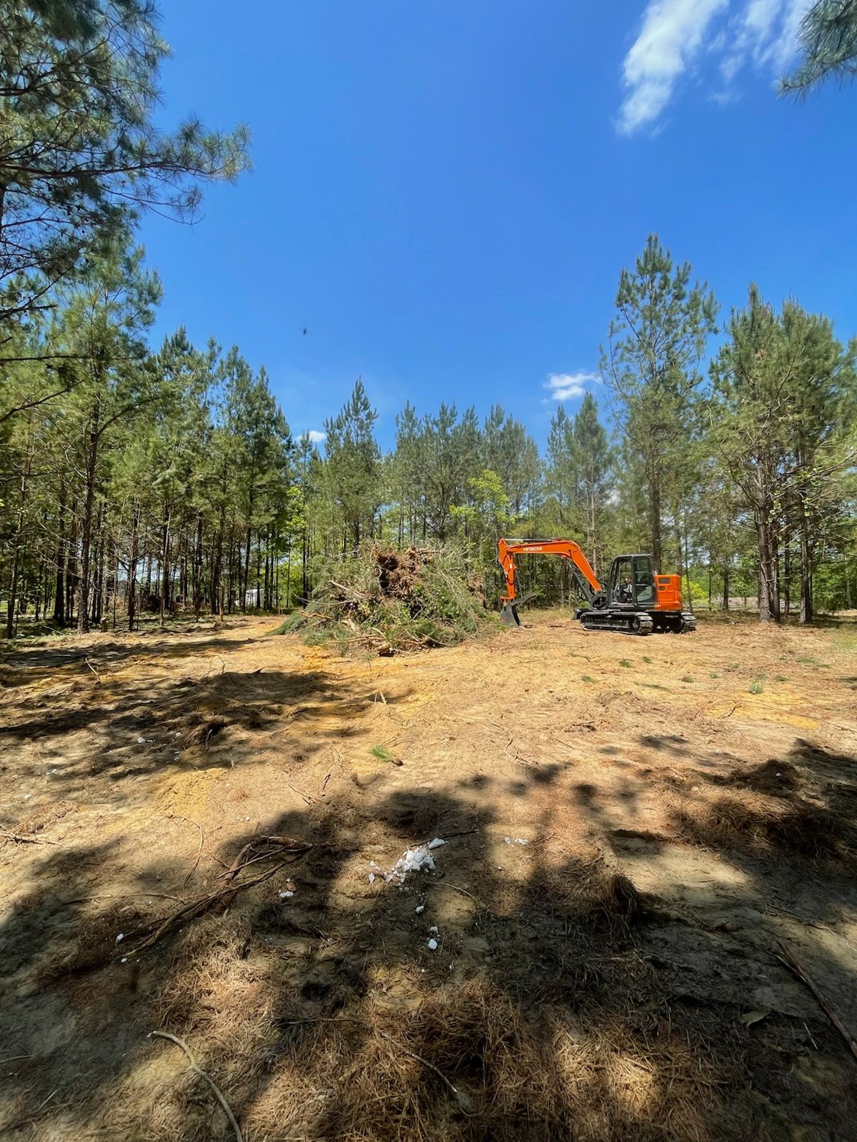 An orange excavator clears a wooded area on a sunny day.