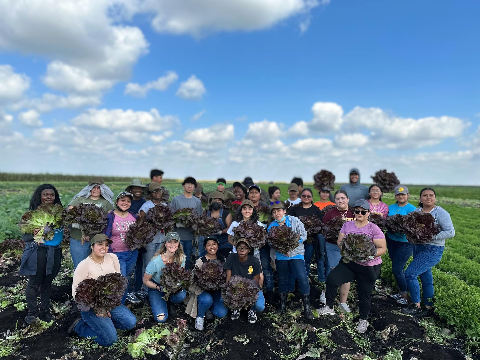 Volunteers in the field holding lettuce.