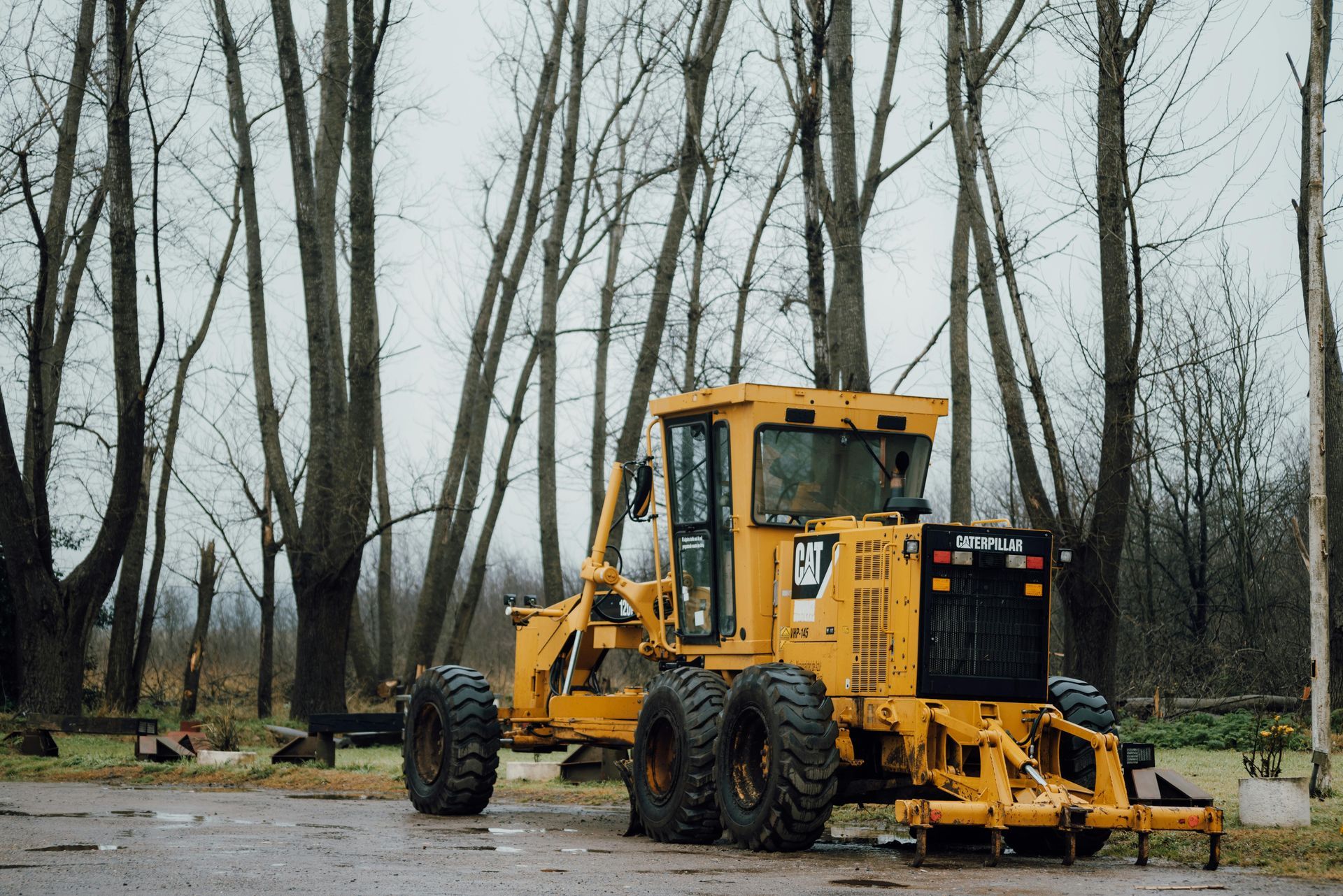Yellow road grader in a grove of bare trees.