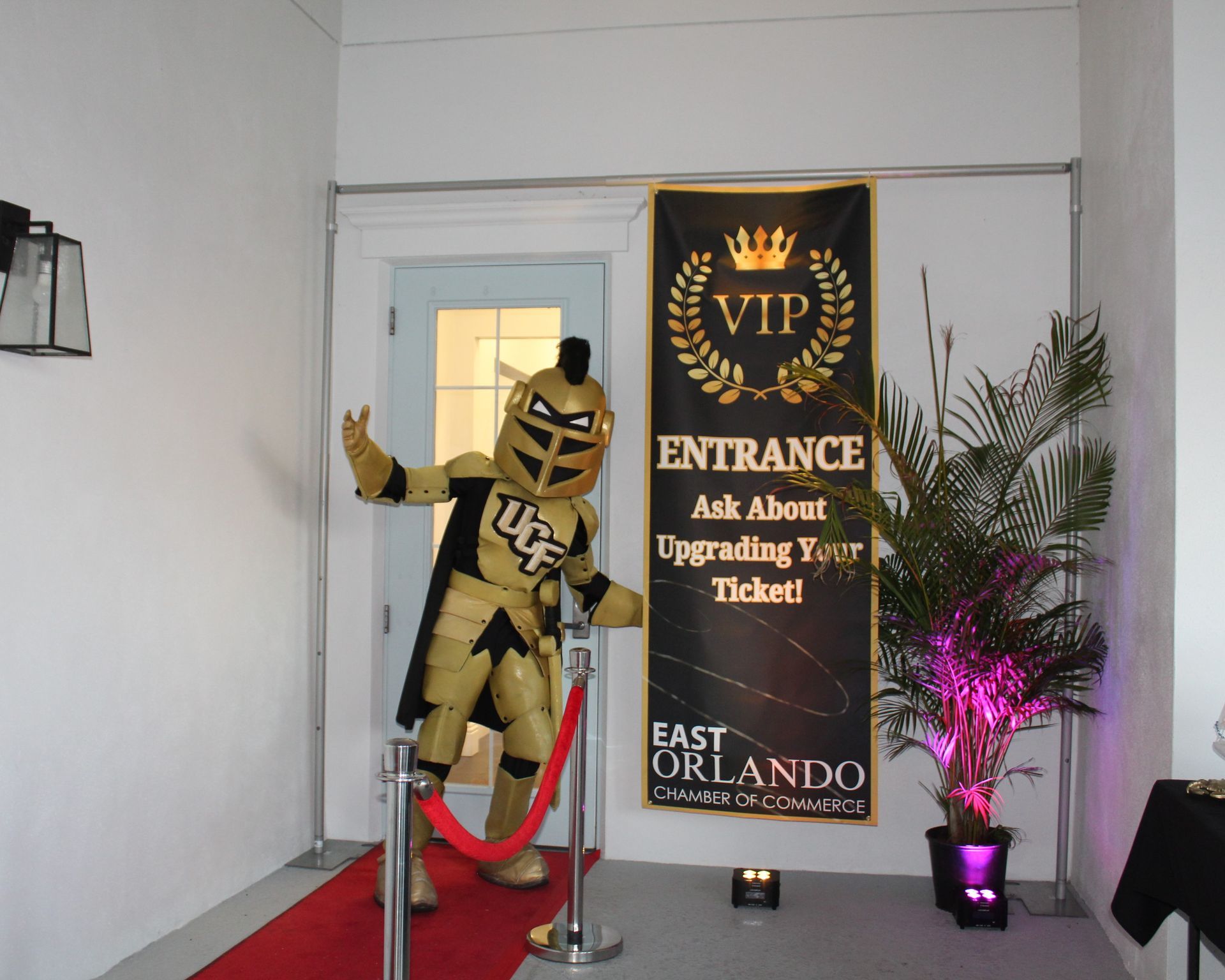 UCF Knight mascot welcomes guests at a VIP entrance. Black and gold banner and red carpet.