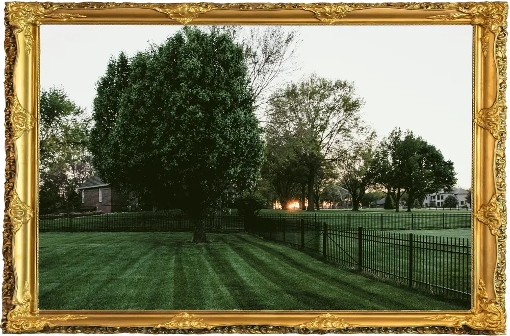 Lawn with manicured grass, trees, and a fence framed in an ornate gold border.
