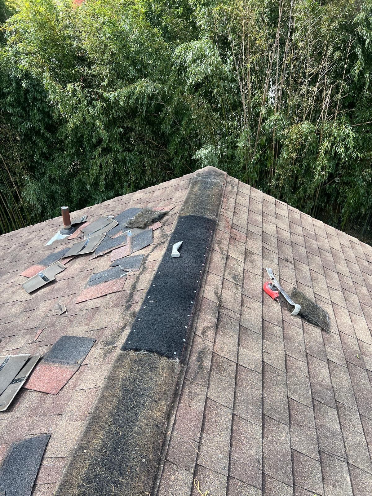 Roof with missing shingles, black strip repair, and red handled tool against a backdrop of green trees.