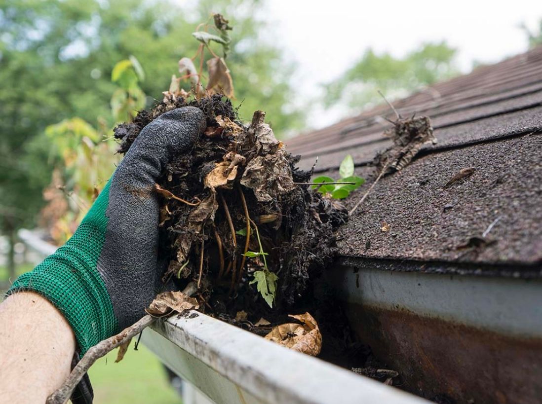 Gloved hand cleaning a gutter filled with leaves and debris, next to a shingled roof.