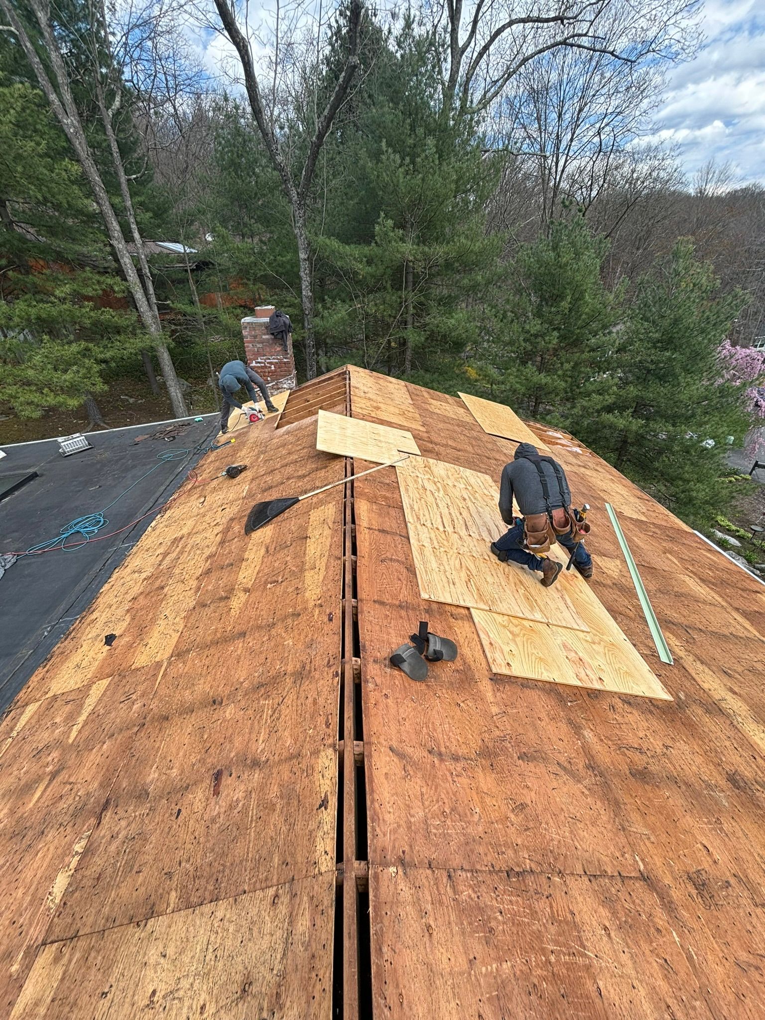 Roofers working on a roof, applying wood panels.  Outdoor setting with trees.