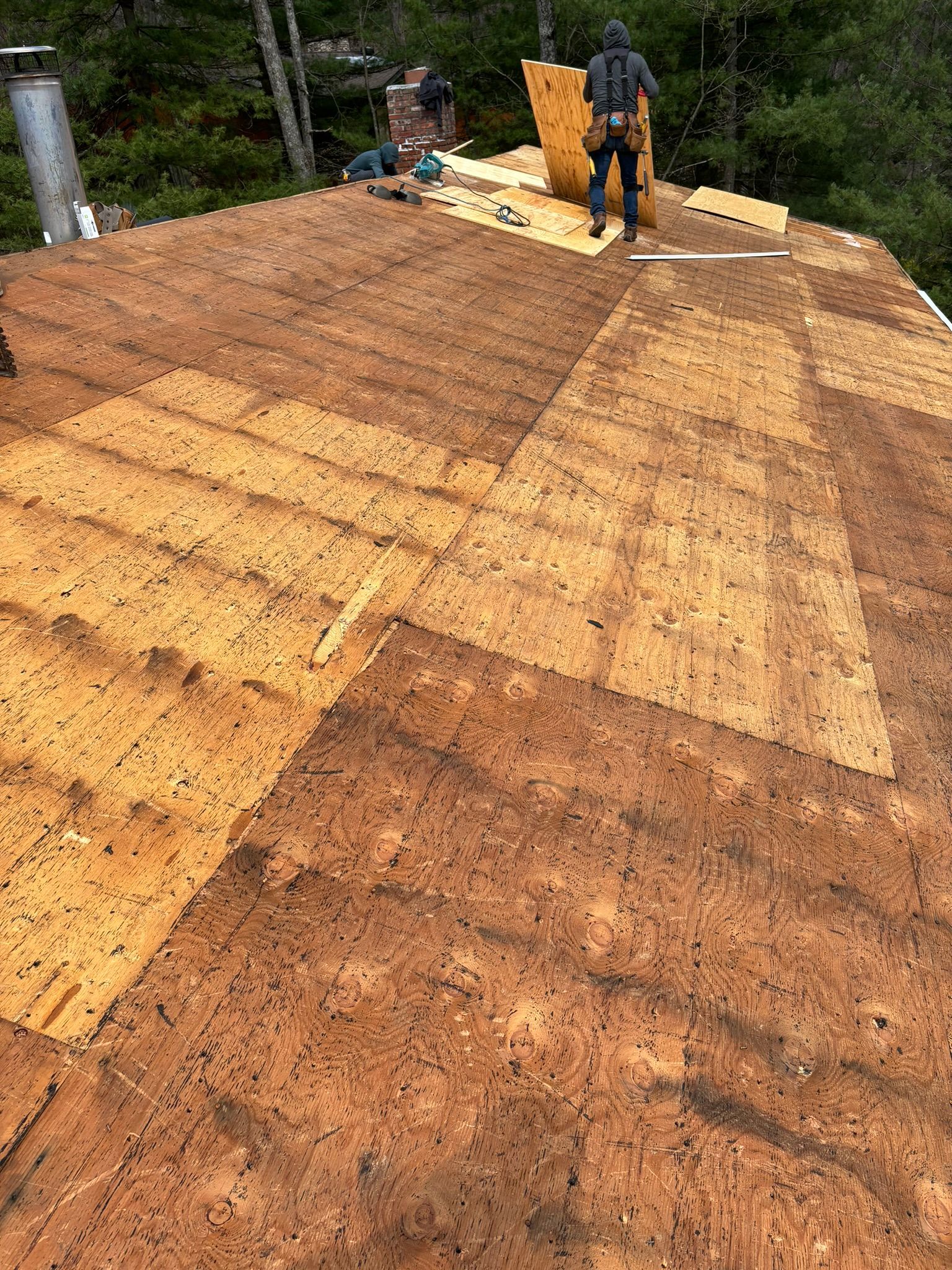 Roofer on a roof replacing plywood. Tan and brown wood and plywood, with a forest background.