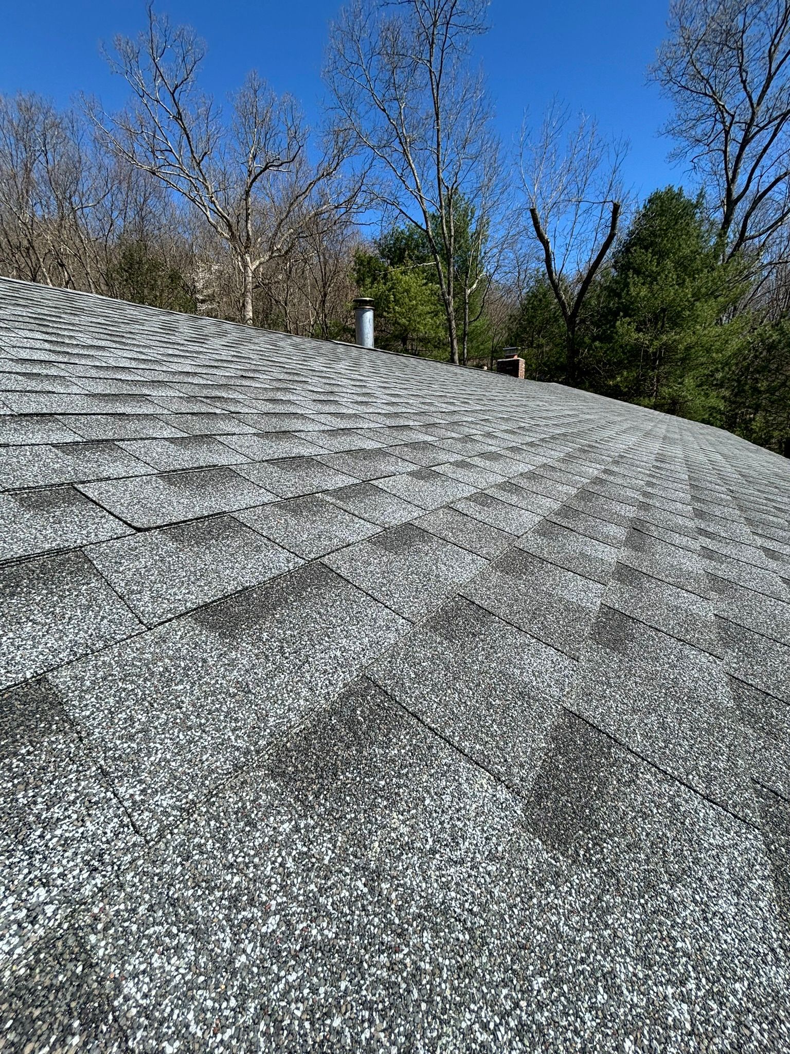 Gray asphalt shingle roof with trees and blue sky in the background.