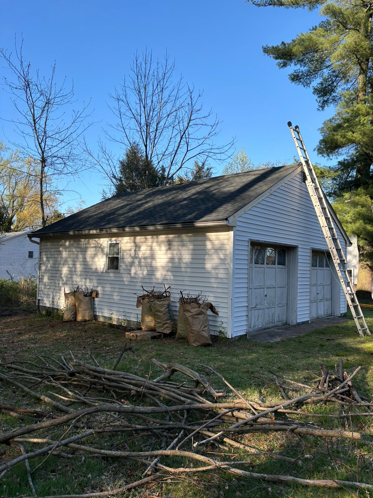 White garage with a ladder, tree branches in front, and trees in the background on a sunny day.